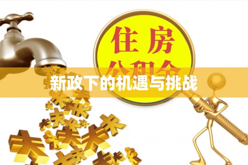 江都新政下的机遇与挑战