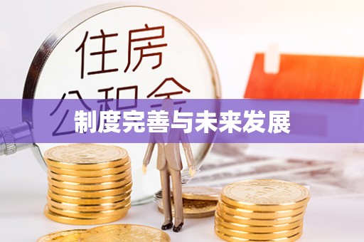 江都制度完善与未来发展